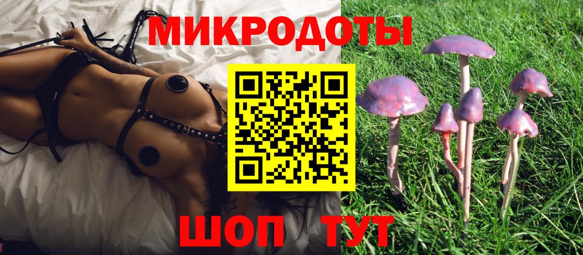 Галлюциногенные грибы GOLDEN TEACHER Усть-Джегута