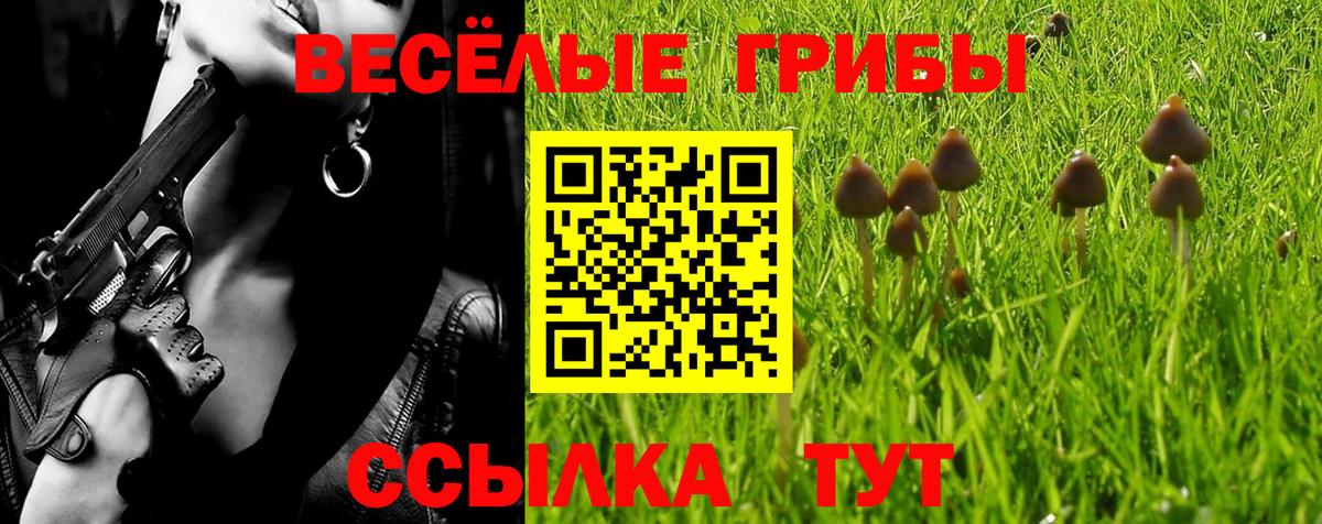 Усть-Джегута  Галлюциногенные грибы ЛСД  Вход с VPN 